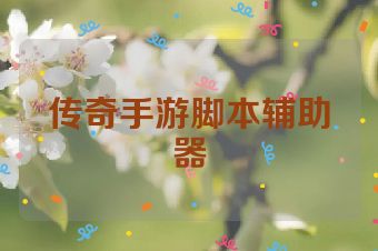 传奇手游脚本辅助器