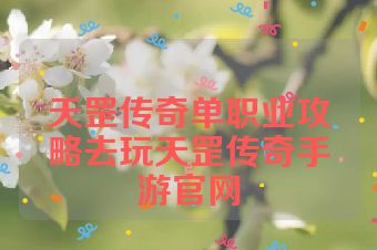 天罡传奇单职业攻略去玩天罡传奇手游官网