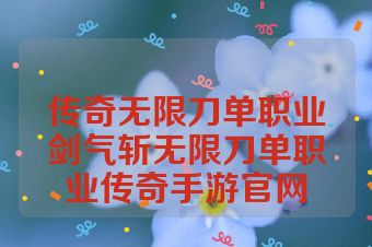 传奇无限刀单职业剑气斩无限刀单职业传奇手游官网