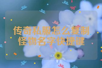 传奇私服怎么复制怪物名字快捷键