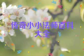 传奇小小法师百科大全