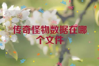 传奇怪物数据在哪个文件