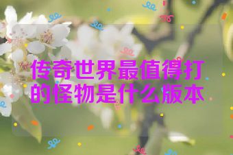 传奇世界最值得打的怪物是什么版本