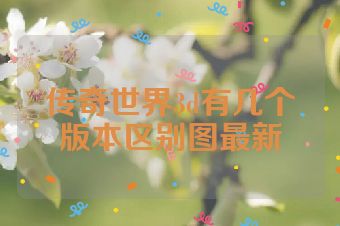 传奇世界3d有几个版本区别图最新