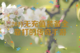 2021无充值装备全靠打的传奇手游