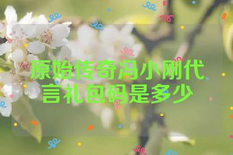 原始传奇冯小刚代言礼包码是多少