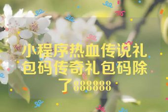 小程序热血传说礼包码传奇礼包码除了888888
