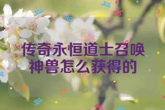 传奇永恒道士召唤神兽怎么获得的