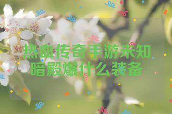 热血传奇手游未知暗殿爆什么装备