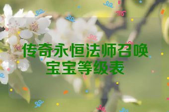 传奇永恒法师召唤宝宝等级表