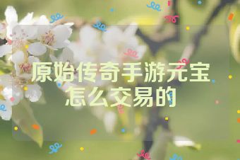 原始传奇手游元宝怎么交易的