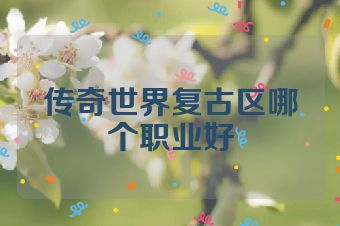 传奇世界复古区哪个职业好