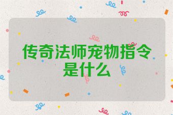 传奇法师宠物指令是什么
