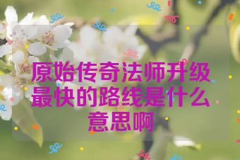原始传奇法师升级最快的路线是什么意思啊