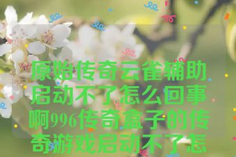 原始传奇云雀辅助启动不了怎么回事啊996传奇盒子的传奇游戏启动不了怎么回事