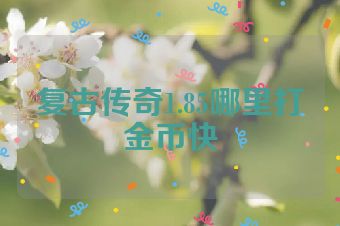 复古传奇1.85哪里打金币快