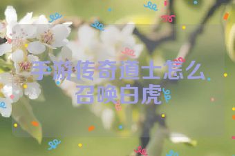 手游传奇道士怎么召唤白虎