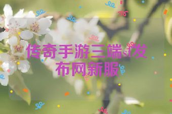 传奇手游三端sf发布网新服