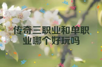 传奇三职业和单职业哪个好玩吗