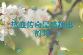 热血传奇是盛趣出的吗
