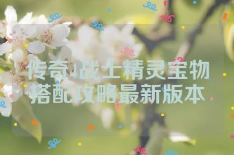 传奇4战士精灵宝物搭配攻略最新版本