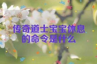 传奇道士宝宝休息的命令是什么