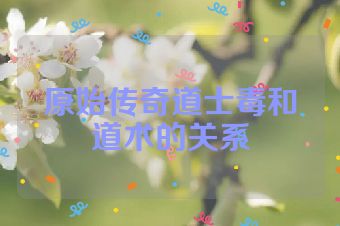 原始传奇道士毒和道术的关系