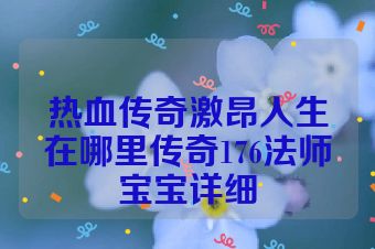 热血传奇激昂人生在哪里传奇176法师宝宝详细