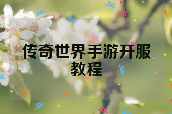 传奇世界手游开服教程