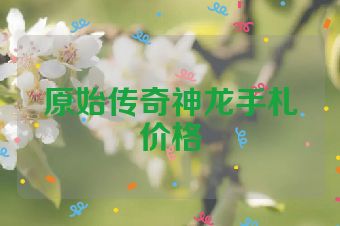 原始传奇神龙手札价格