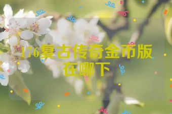 176复古传奇金币版在哪下