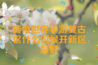 传奇世界手游复古区什么时候开新区最好