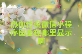 热血传说微信小程序图鉴在哪里显示啊