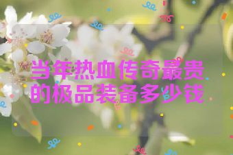当年热血传奇最贵的极品装备多少钱