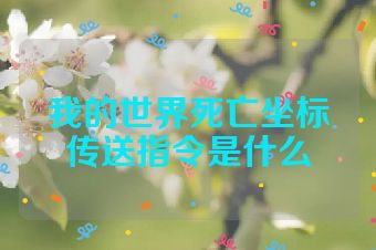 我的世界死亡坐标传送指令是什么
