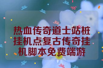 热血传奇道士站桩挂机点复古传奇挂机脚本免费端游