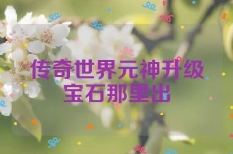 传奇世界元神升级宝石那里出