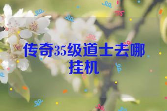 传奇35级道士去哪挂机