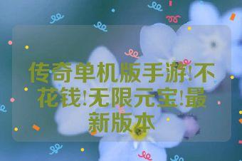 传奇单机版手游!不花钱!无限元宝!最新版本