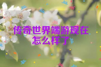 传奇世界端游现在怎么样了