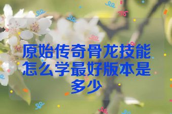 原始传奇骨龙技能怎么学最好版本是多少