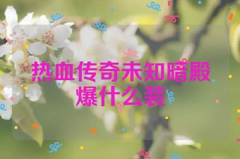 热血传奇未知暗殿爆什么装