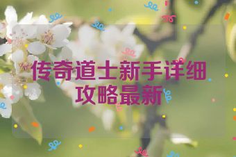 传奇道士新手详细攻略最新