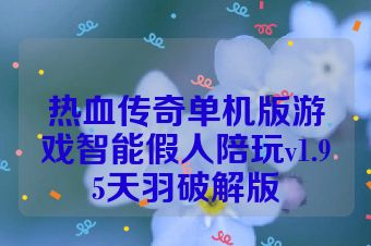 热血传奇单机版游戏智能假人陪玩v1.95天羽破解版
