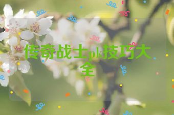 传奇战士pk技巧大全