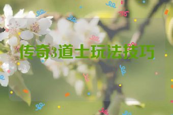 传奇3道士玩法技巧