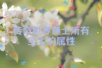 传奇世界道士所有宝宝的属性