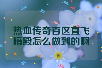 热血传奇百区直飞暗殿怎么做到的啊