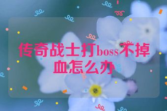 传奇战士打boss不掉血怎么办