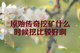 原始传奇挖矿什么时候挖比较好啊